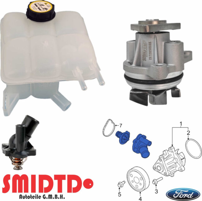 Bomba De Agua, Deposito Y Termostato Ford Focus 2.0l 03-07 - Image 6